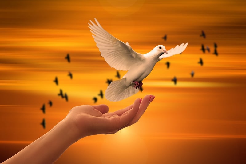 Gentle Release